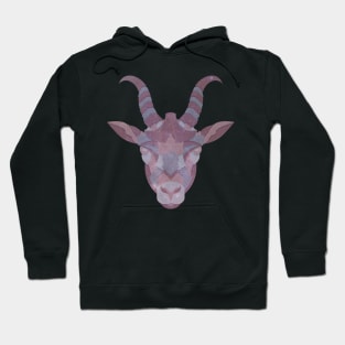 Capricorn Astrological sign Hoodie